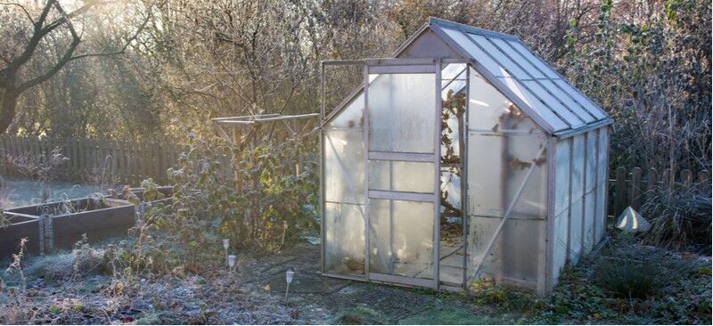 A Guide to Bubble Wrapping a Greenhouse - Hartley Botanic