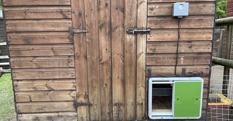 Automatic door for the chicken coop 