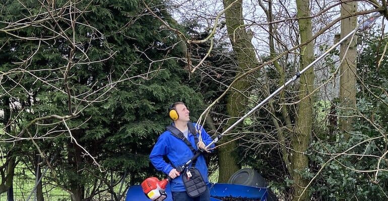 6 Best Long Reach Pole Chainsaws TESTED Reviewed