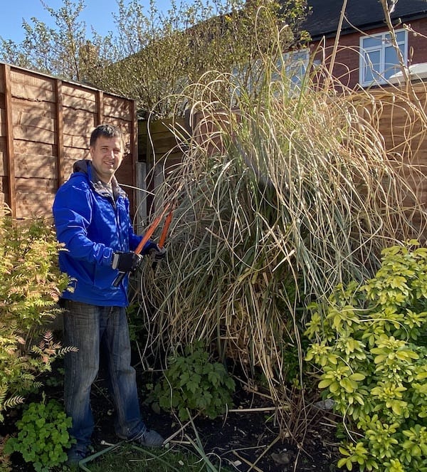 How To Prune Pampas Grass Uk