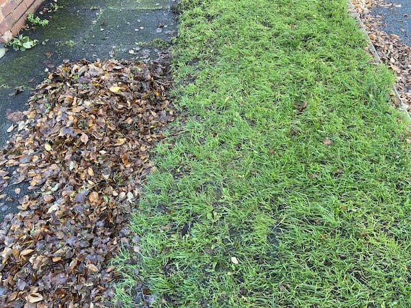Fall Leaves Rack 5 Best Leaf Rakes - My Favourite Rakes For Professional Gardening